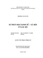 Sự phân hóa kinh tế xã hội ở Nam Bộ