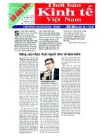 số đặc biệt thời báo kinh tế Việt Nam