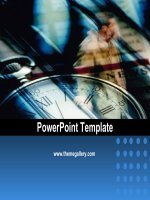 PowerPoint Template - Copy (5)