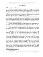 Thực trạng và giải pháp đẩy mạnh tiêu thụ sản phẩm giầy của công ty giầy Thượng Đình