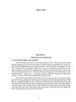 CÔNG TY CỔ PHẦN VẬT TƯ HẬU GIANG