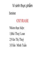 Vi sinh thực phẩm