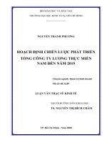 298 Hoạch định chiến lược phát triển tổng Công ty lương thự miền Nam đến năm 2015