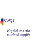 Những vấn đề kinh tế cơ bản trong sản xuất nông nghiệp