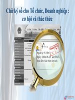 Chữ ký số cho tổ chức, doanh nghiệp cơ hội và thách thức