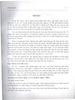 tổng quan về cây có tính lợi sữa