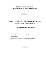 Giai phap bao ton va phat trien lang nghe tuong ban Hung Yen Luan Van Ths