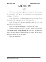 Đặc điểm thạch học - khoáng vật học của đá móng giếng khaon SV_1X lô 15_1 thuộc bồn trũng Cửu Long