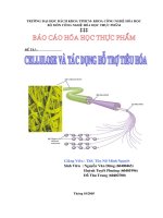 cellulose và tác dụng hỗ trợ tiêu hóa