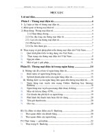 Phát triển thương mại điện tử trong ngân hàng thương mại Việt nam