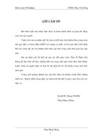 Đặc điểm Thạch học - vật lý, các mô hình Vật lý đánh giá độ rỗng, độ nứt nẻ, độ rỗng khối của đá móng chứa dầu bồn trũng Cửu Long