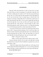 61 Báo cáo thực tập tại Công ty AASC 