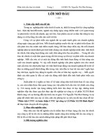 Phân tích CTTC và hoàn thiện CTTC tại công ty Cổ Phần XLTH Bình Định