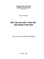 Luận văn thạc sỹ: "Mặt trái của sự đầu tư trực tiếp nước ngoài ở Việt Nam"