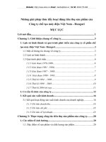 Những giải pháp thúc đẩy hoạt động tiêu thụ sản phẩm của Công ty chế tạo máy điện Việt Nam - Hungari