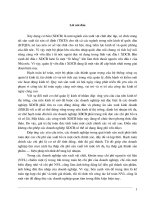 195 Kế toán nguyên vật liệu và công cụ dụng cụ tại Công ty cổ phần xây lắp Hoà Bình