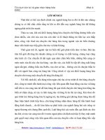 Đại lý tàu biển và phát triển hoạt động đại lý tàu biển ở cảng Hải Phòng