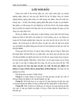 130 Kế toán tập hợp chi phí sản xuất và tính giá thành sản phẩm ở Công ty phát triển kĩ thuật điện và hoá Hà Nội