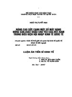 55 Nâng cao sức cạnh tranh một số mặt hàng nông sản xuất khẩu chủ yếu của Việt Nam trong điều kiện hội nhập Kinh tế quốc tế