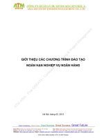 Giới Thiệu Các  Chương Trình Đào Tạo Ngắn Hạn Nghiệp Vụ Ngân Hàng