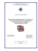 PHÂN TÍCH TÌNH HÌNH CHO VAY LĨNH VỰC  NGOÀI QUỐC DOANH TẠI CHI NHÁNH  NGÂN HÀNG CÔNG THƯƠNG,  THÀNH PHỐ CẦN THƠ