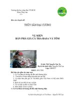 Vụ kiến bán phá giá cá tra-basa và tôm