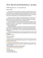 Phân tích mô hình kinh doanh của  : pico plaza.