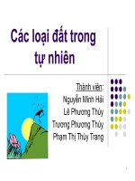 Các loại đất trong tự nhiên