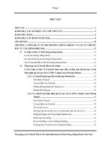 39 Ứng dụng các lý thuyết đầu tư tài chính hiện đại trên thị trường chứng khoán Việt Nam