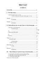 Protein của củ & hạt lương thực