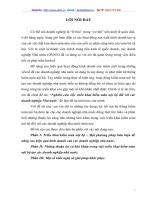 Nghiên cứu việc triển khai kiểm toán nội bộ đối với các doanh nghiệp Nhà nước