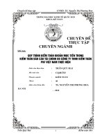 225 Quy trình kiểm toán khoản mục tiền trong kiểm toán Báo cáo tài chính do Công ty TNHH kiểm toán PKF Việt Nam thực hiện