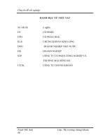 Phát triển hoạt động tư vấn cổ phần hoá tại công ty cổ phần chứng khoán Kim Long