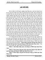 148 Kế toán bán hàng và xác định kết quả bán hàng tại Công ty TNHH dược thảo Phúc Vinh