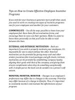 how to build incentive programmex