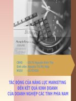Tác động của năng lực marketing đến kết quả kinh doanh của doanh nghiệp các tỉnh phía Nam
