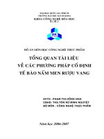 Cố định tế bào nấm mem rượu