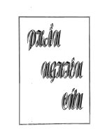 Nghiên cứu về hạt thảo quyết minh, họ vang