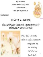 Chiến lược Marketing cho bia Dung Quất trên địa bàn tỉnh Quảng Ngãi