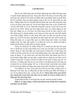 319 Hoàn thiện kiểm toán khoản mục doanh thu trong kiểm toán báo cáo tài chính do Công ty kiểm toán và định giá Việt Nam thực hiện