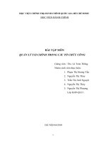 QUẢN LÝ TÀI CHÍNH TRONG CÁC TỔ CHỨC CÔNG