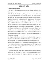 Ảnh hưởng của  quá trình cắt giảm  thuế xuất - nhập khẩu sau gia nhập WTO đến thu ngân sách Nhà nước của Việt Nam - một số kiến nghị giải pháp