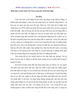 Bình luận truyền hình Việt Nam trong tiến trình hội nhập