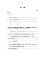 46 Sử dụng các công cụ phòng ngừa rủi ro tỷ giá trong hoạt động kinh doanh ngoại hối của các Ngân hàng Thương mại cổ phần trên địa bàn TP.HCM