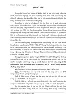 Tổ chức công tác kế toán tiêu thụ hàng hoá và xác định kết quả tại Công ty TNHH Thương mại và Dịch vụ Hưng Gia