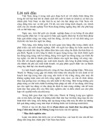 254 Hoàn thiện các hình thức lao động tiền lương ở nhà máy thuốc lá Thăng Long (102tr)