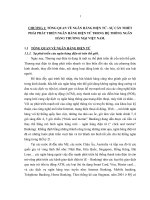 316 Giải pháp phát triển ngân hàng điện tử trong hệ thống Ngân hàng Thương mại Việt Nam