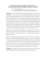 Phát triển năng lực thông tin cho người dùng tin