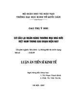 112 Cơ cấu lại Ngân hàng thương mại Nhà nước Việt Nam trong giai đoạn hiện nay