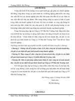 Hoàn thiện tổ chức công tác kế toán doanh thu, chi phí và xác định kết quả kinh doanh tại Công ty CP Dầu khí Trường Anh